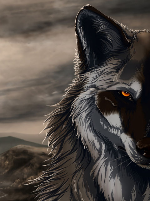 Красивый черный волк