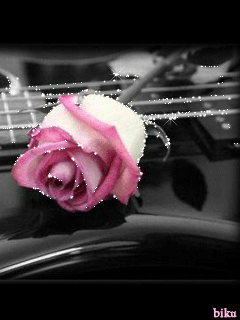 Роза на гитаре