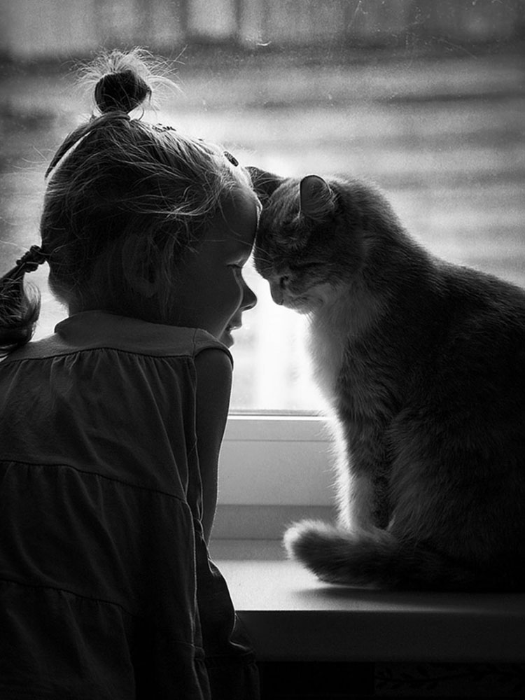 Дружба: девочка и кот