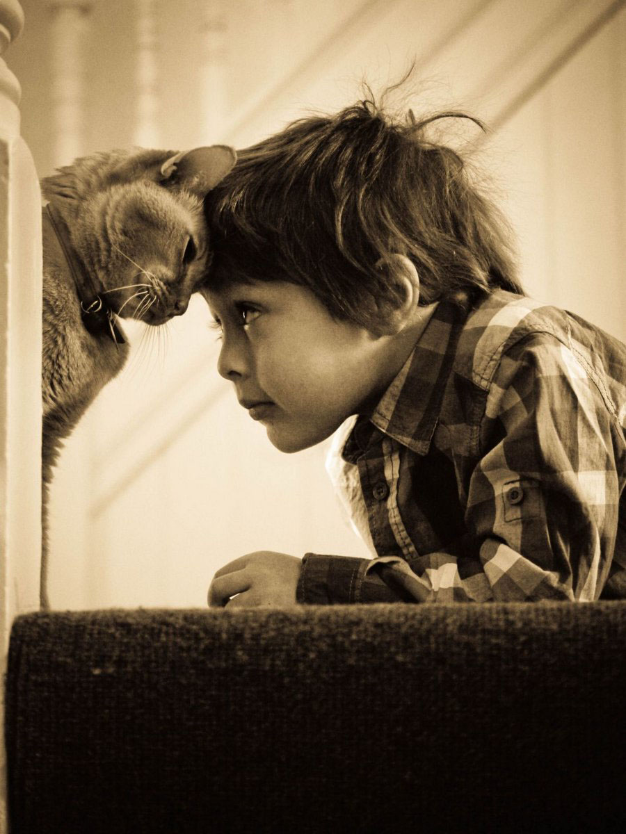 Дружба: мальчик и кот