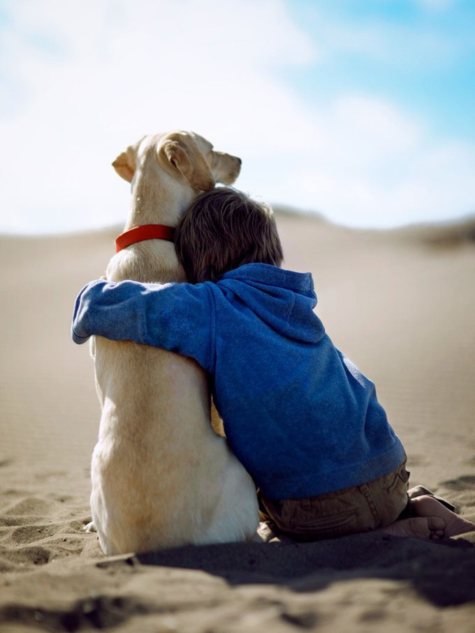 Дружба: пёс и ребёнок
