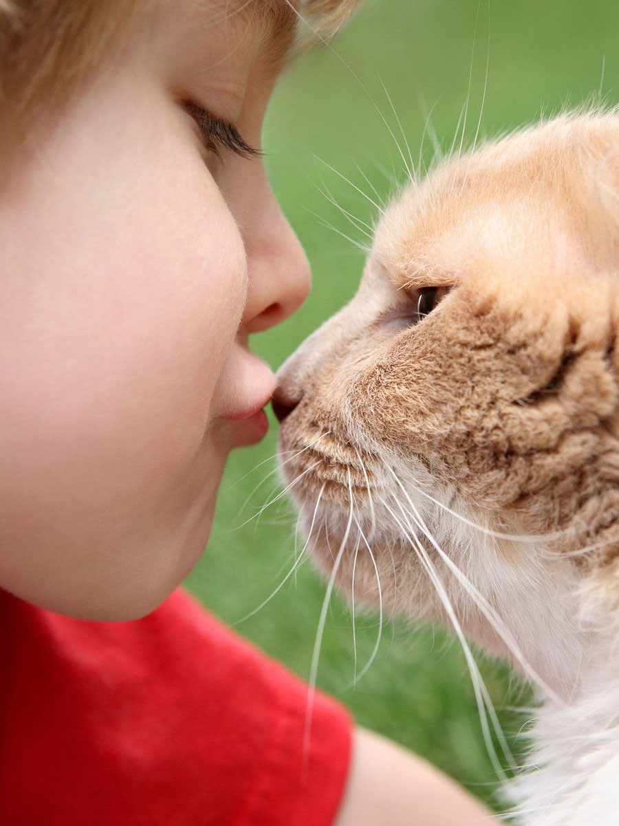 Поцелуй мальчик и кот