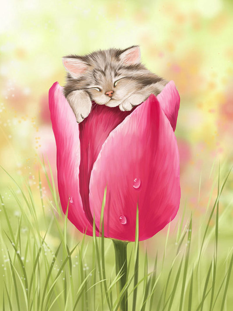 Котёнок в тюльпане