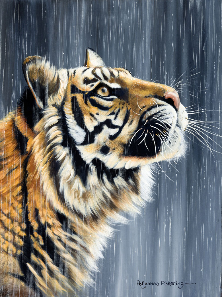 Тигр под дождём (рисунок)