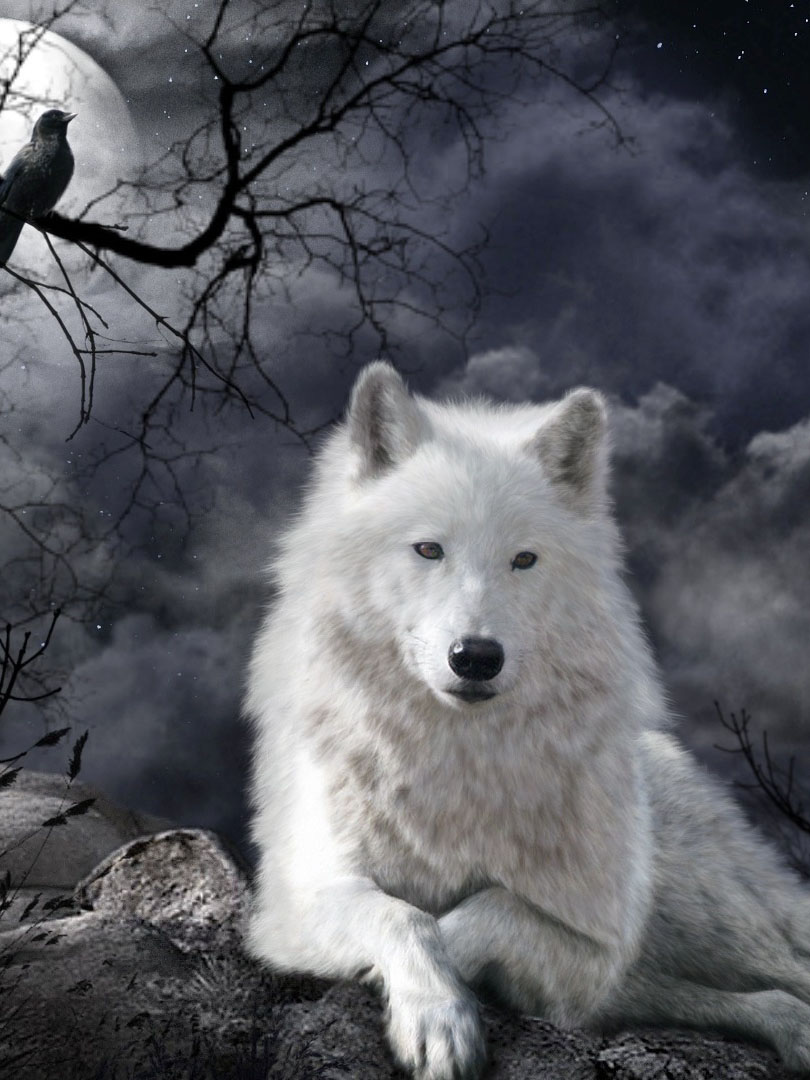 Белый волк в полнолунье