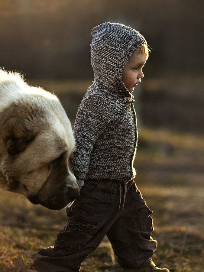 Мальчик и большой пёс