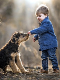 Ребёнок с собакой