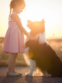 Девочка и собака на закате
