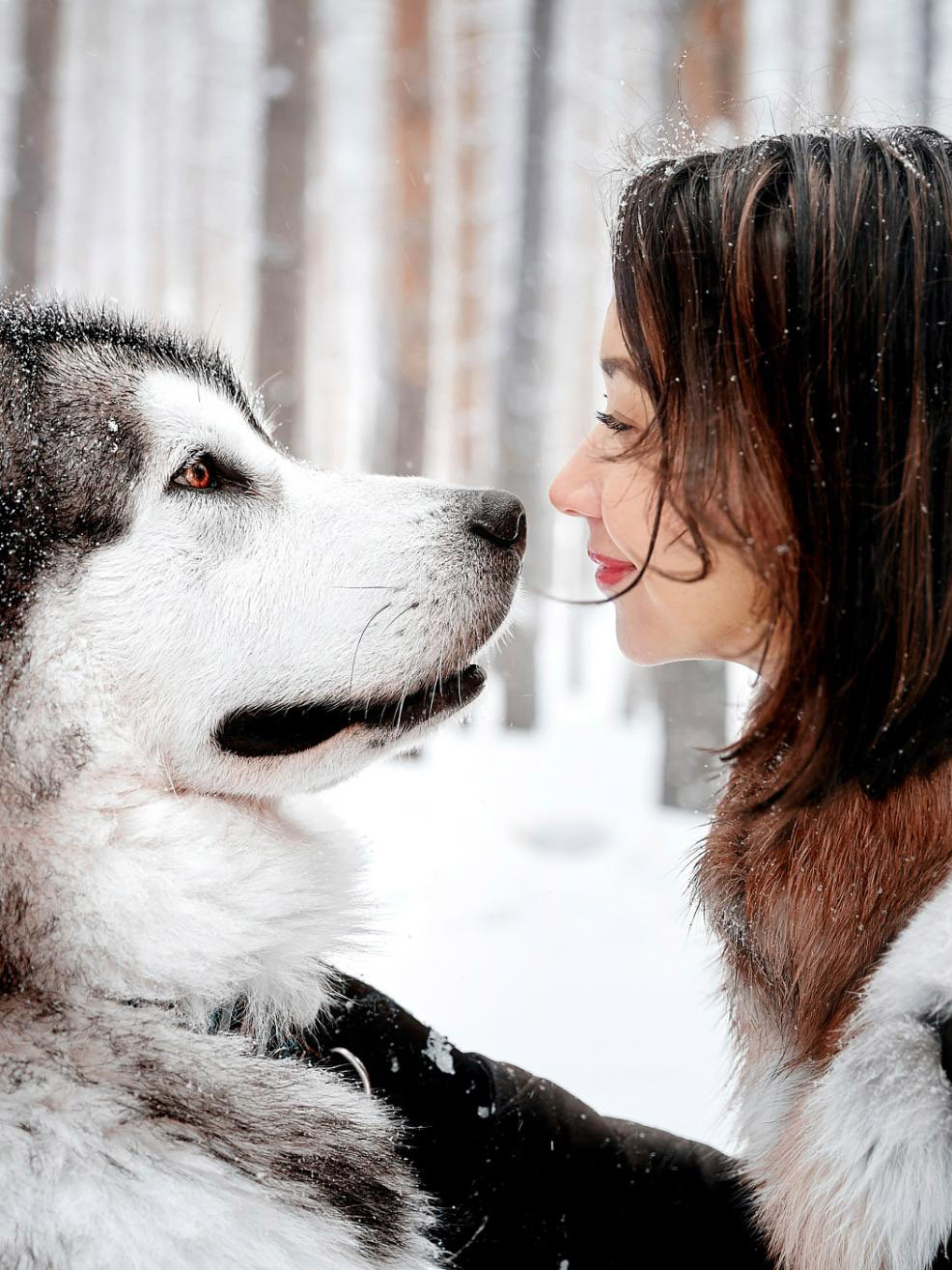Девочка с собакой из лайка. Девушка с собакой. Девушка и хаски. Фотосессия с собакой зимой. Красивая девушка с собакой.