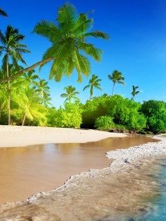 Райский, тропический уголок, на берегу моря
