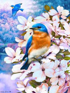 Красочные птички весной