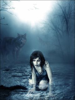Девушка в туманном лесу с волками