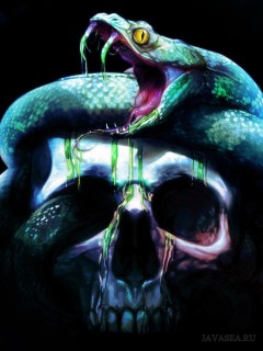 Череп и ядовитый, зелёный змей