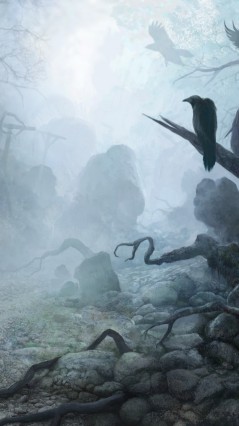 Вороны в туманной местности