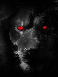 Черный лев с красными глазами