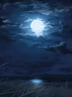 Ночная Луна над лугом