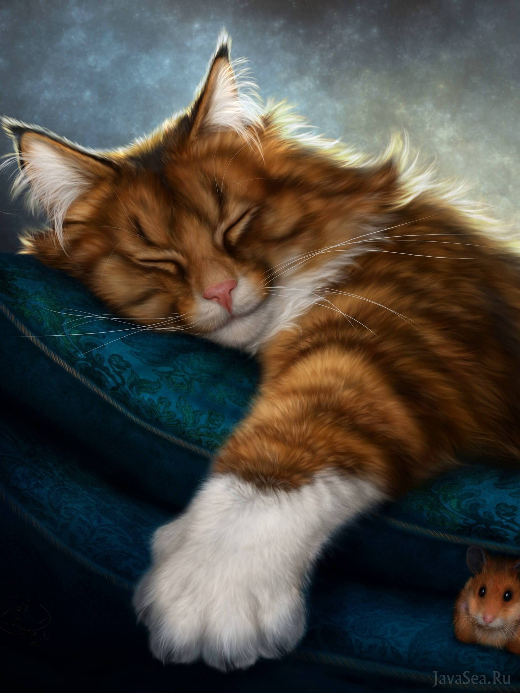 Аватарка сон. Спящий кот. Спящие рыжие коты. Спящие котики. Фэнтези кошки.