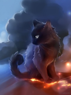 Магическая черная кошка
