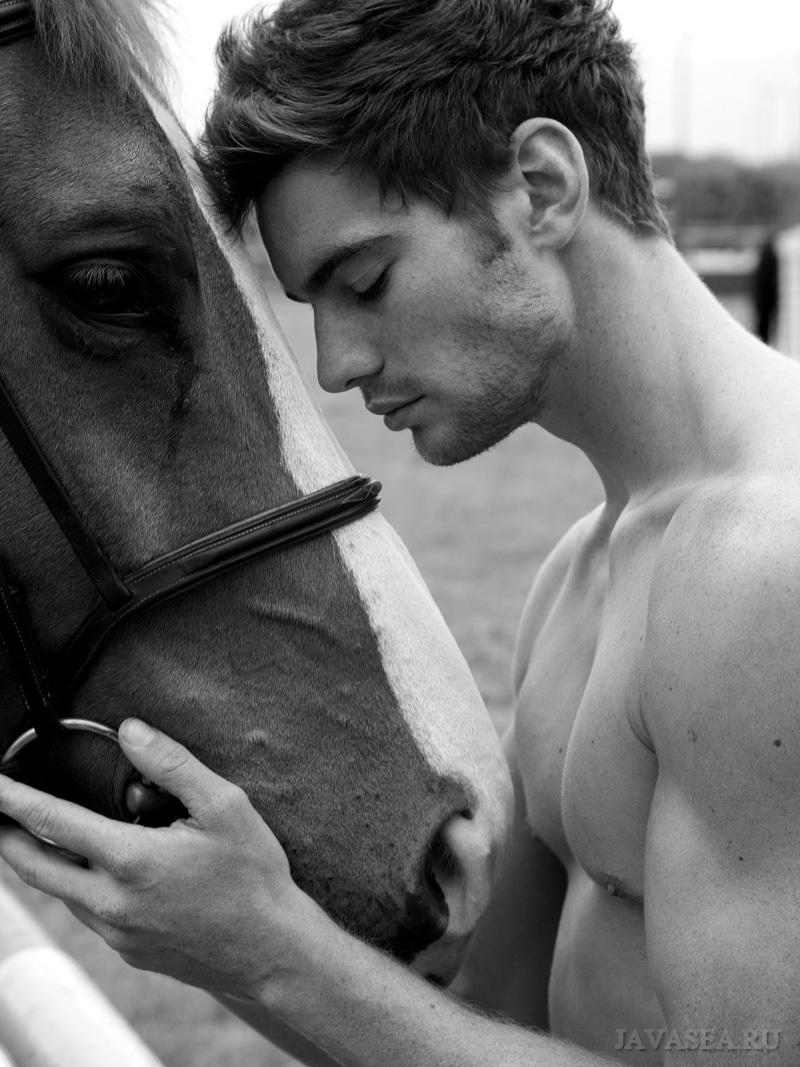 фото гей и лошадь фото 35