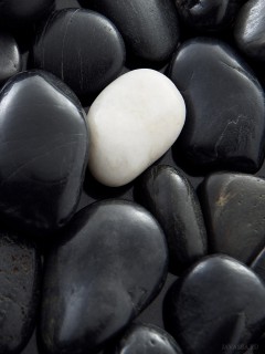 Белый камень среди черных