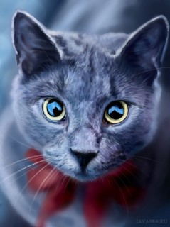 Кошка с глубокими глазами