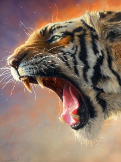 Тигр в гневе