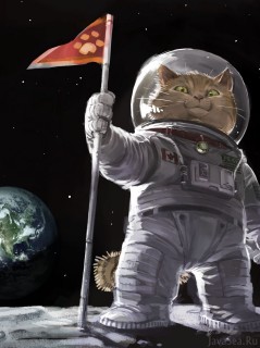 Кот – космонавт на Луне