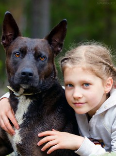 Девочка и настороженный пёс
