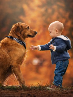 Малыш и пёс с банданой