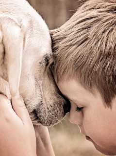 Дружба мальчика и пса