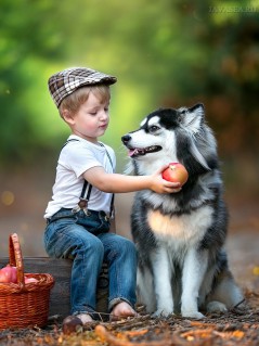 Мальчик в кепке и собака