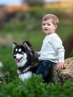 Мальчик на камне и собака