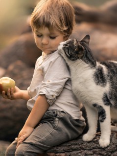 Мальчик с яблоком и кот
