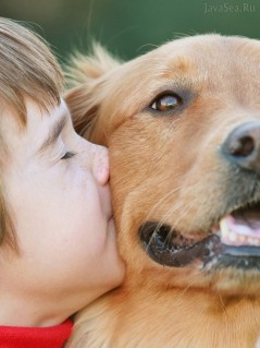 Мальчик, целующий своего пса