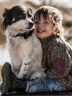 Радостный мальчик и собака