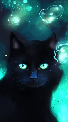 Черная кошка и парящая жидкость