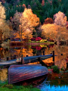 Лодка и лесное озеро осенью