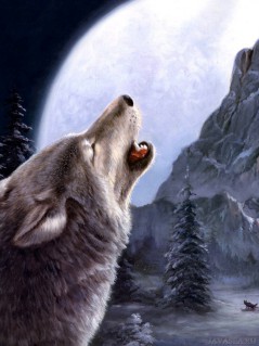 Арт. Воющий волк, Луна, гора, ели