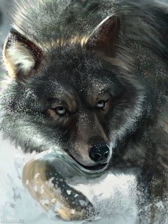 Арт. Волк - король леса