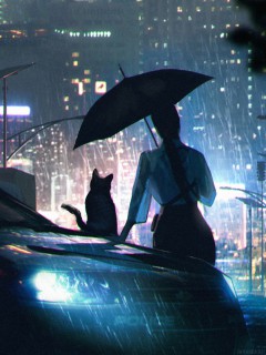 Арт. Силуэт полицейской и кота в дождь