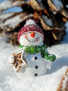 Снеговик с печеньком у шишки