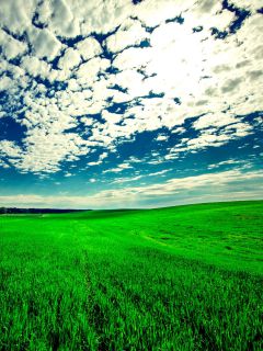 Зелённое поле и облака