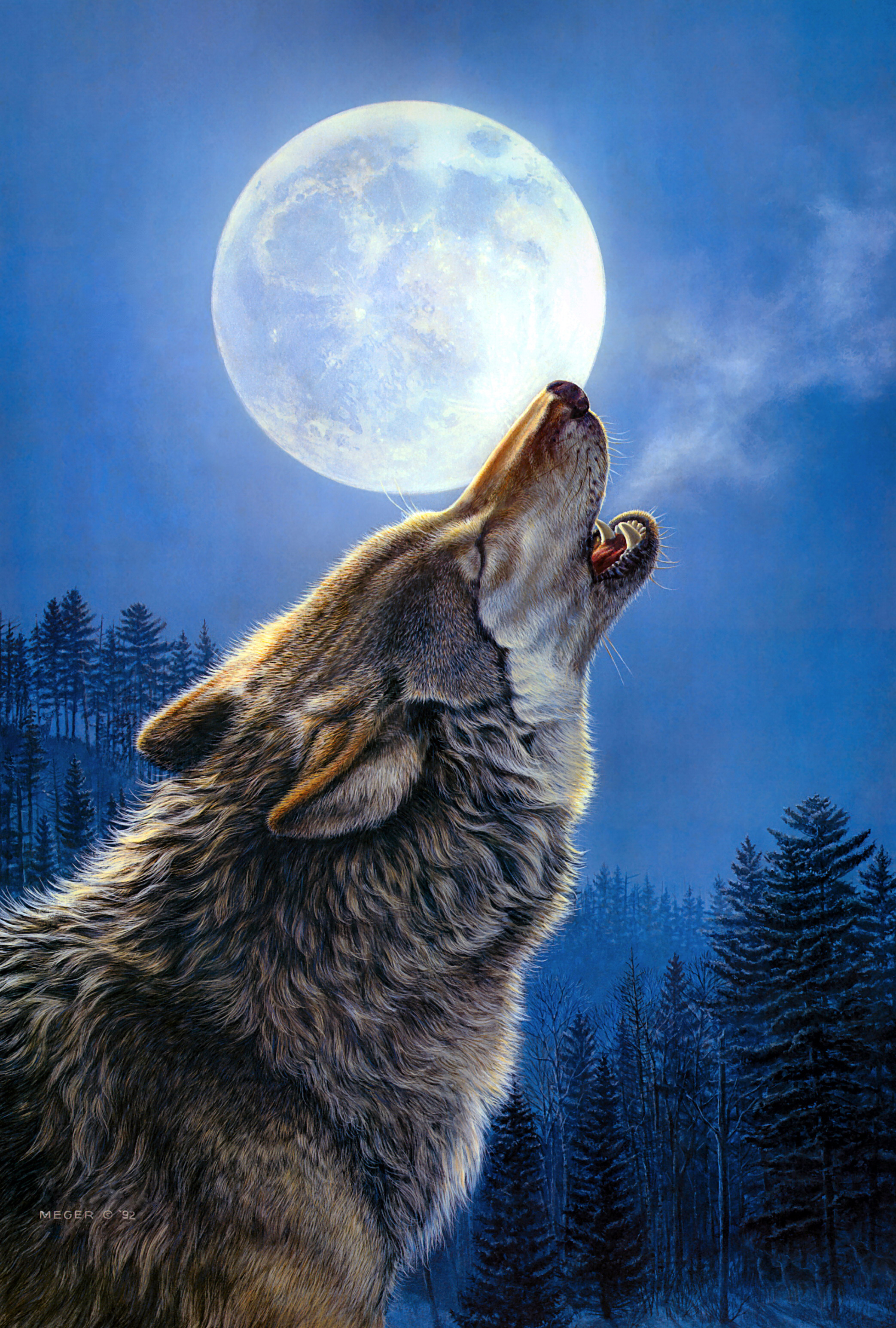 Вой волка на луну песня. Волк воет на луну. Воющий волк. Красивый волк. Волчок воет.