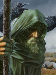 Старый мудрец – викинг и вороны