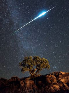 Дерево и метеор в звездном небе