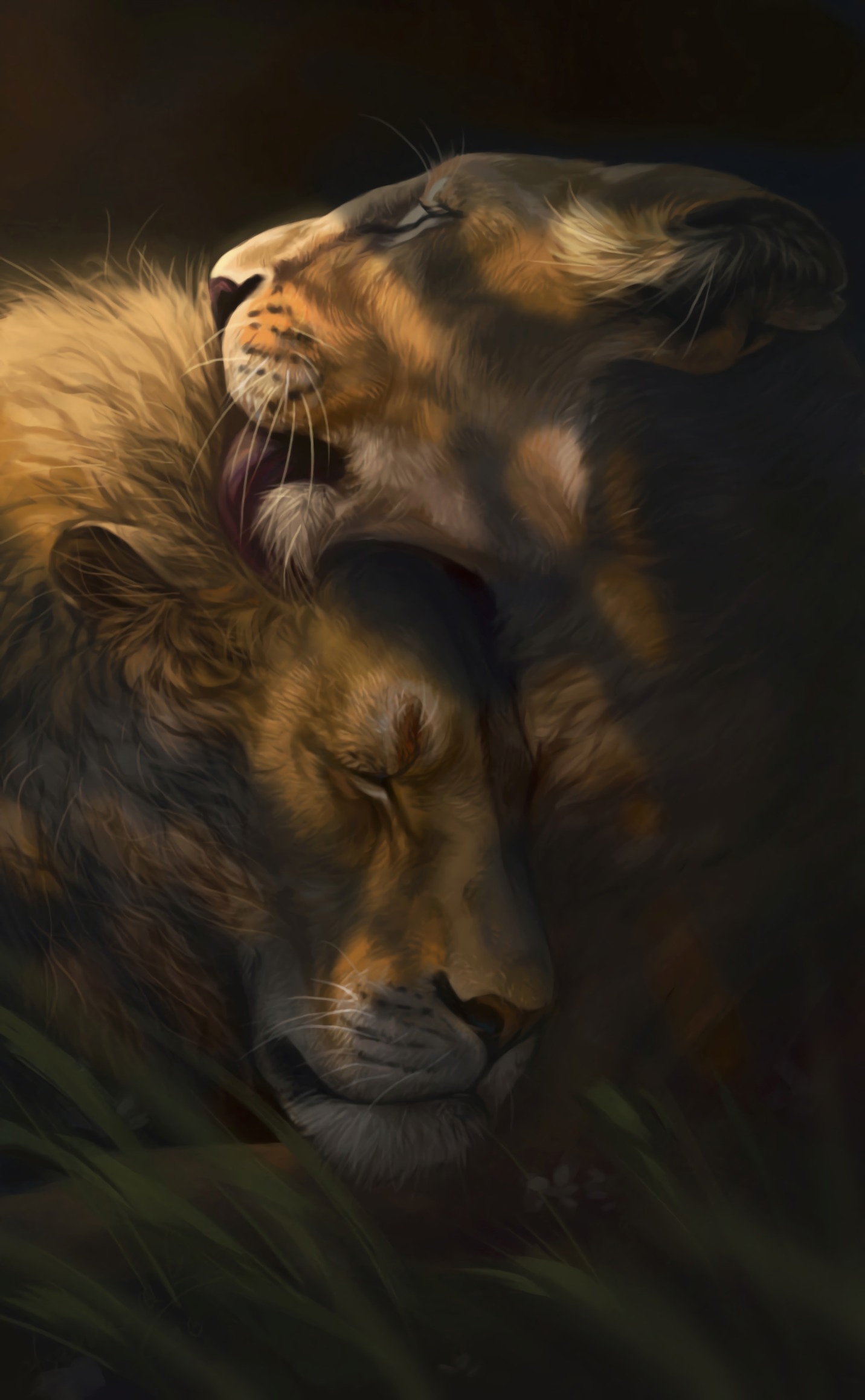 Арт. Любящая пара львов