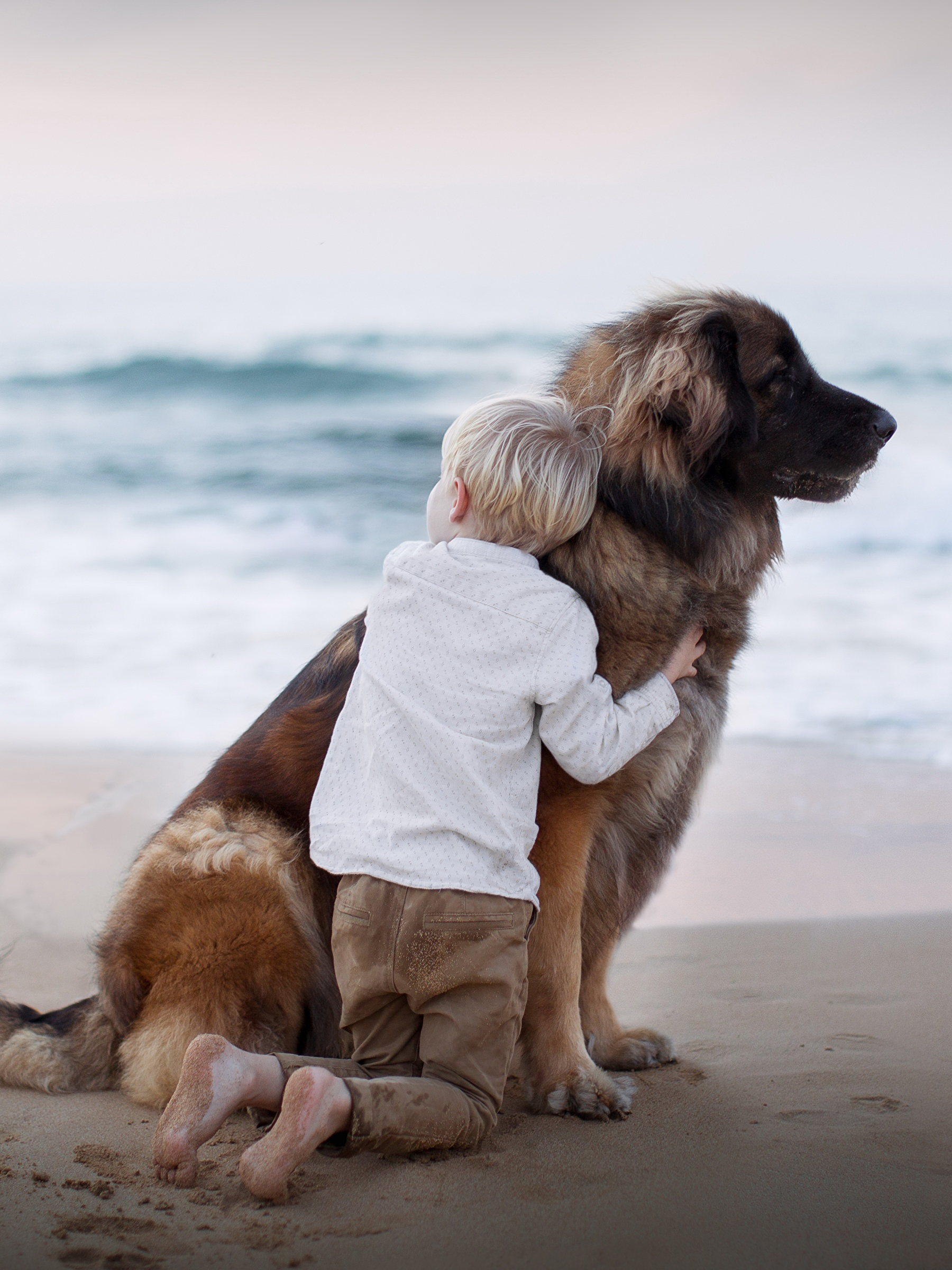 Обнимать собаку. Обнимает собаку. Мальчик обнимает щенка. Ребенок обнимает собаку. Человек обнимает собаку.