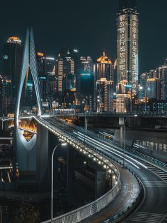 Мост ночного мегаполиса