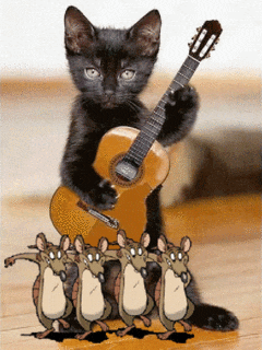 Котёнок с гитарой и танцующие мыши