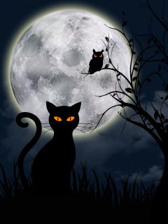 Кошка, сова и Луна (вектор)